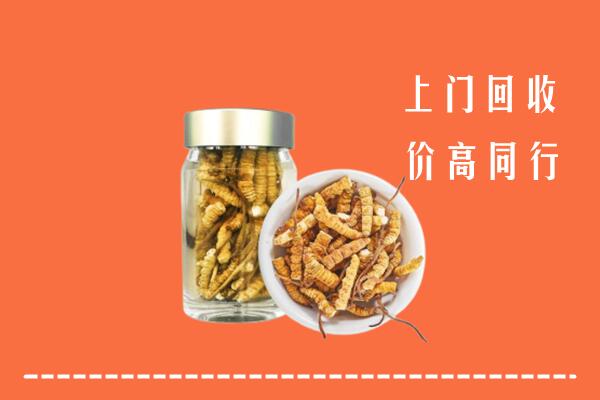 博山区回收冬虫夏草