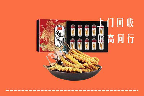 博山区回收虫草